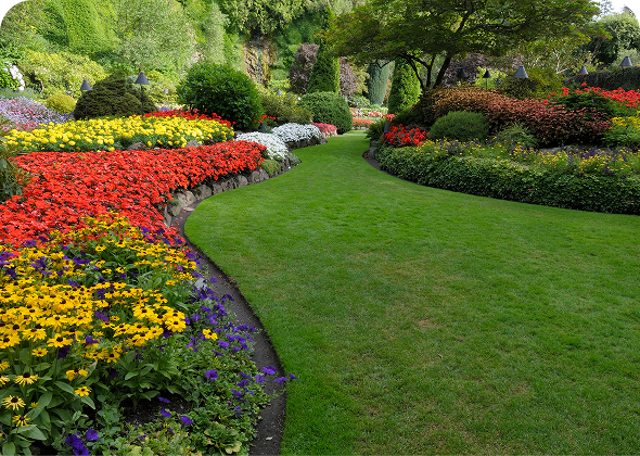 Colorful garden with winding path