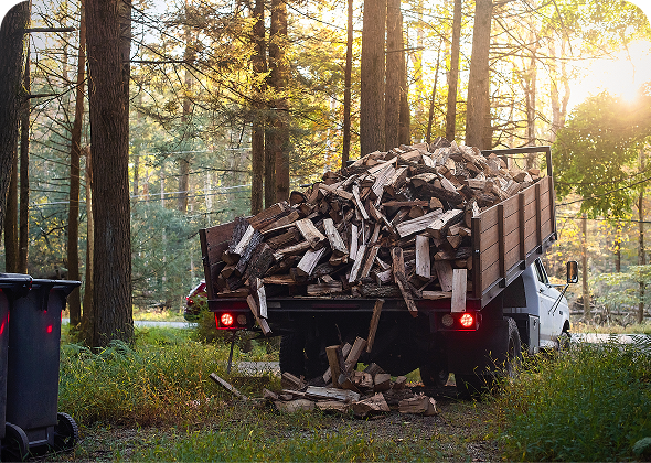 Firewood piled in truck, forest background