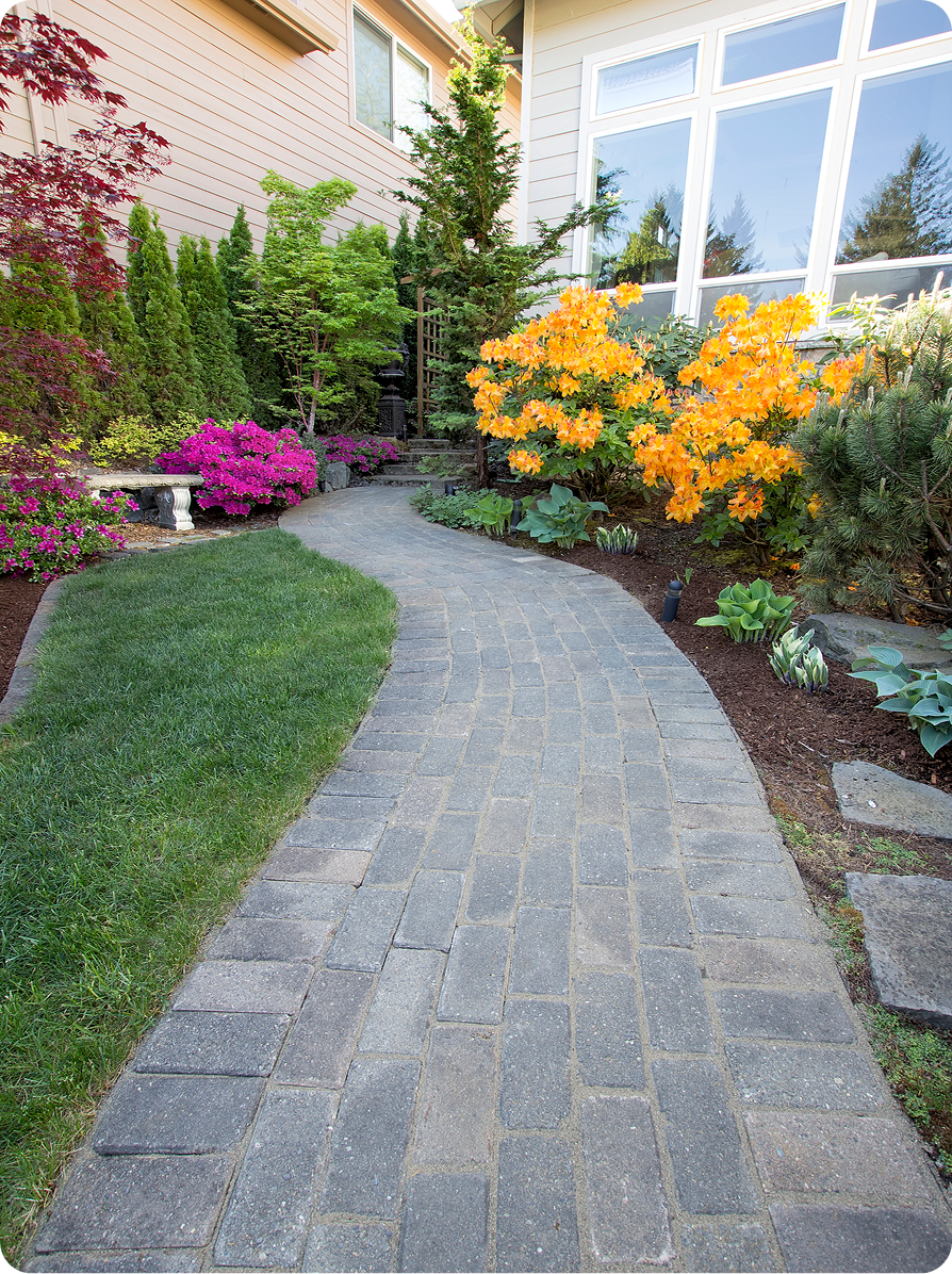 Colorful flowers lining a garden path