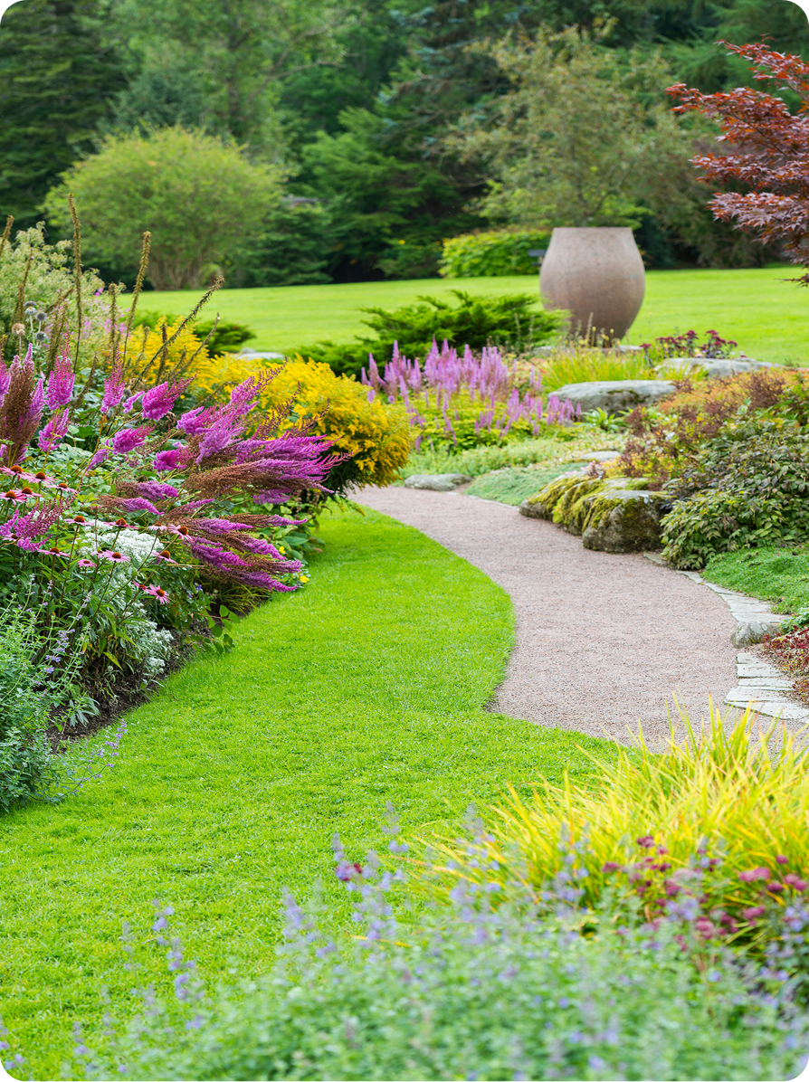 Garden path with colorful flowers