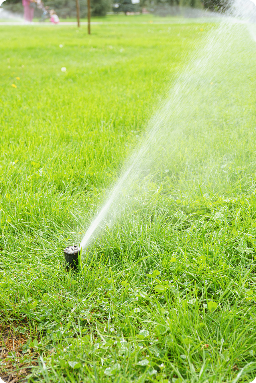 Green lawn with active water sprinkler