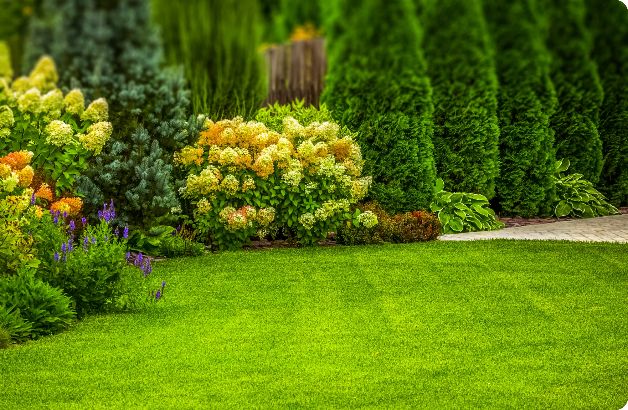 Vibrant backyard with trimmed grass and shrubs.
