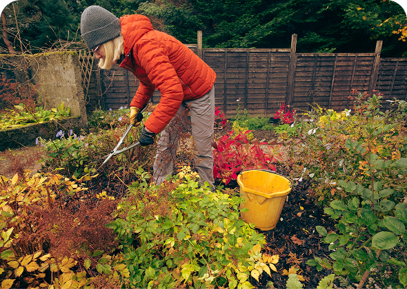 Person working in colorful fall garden