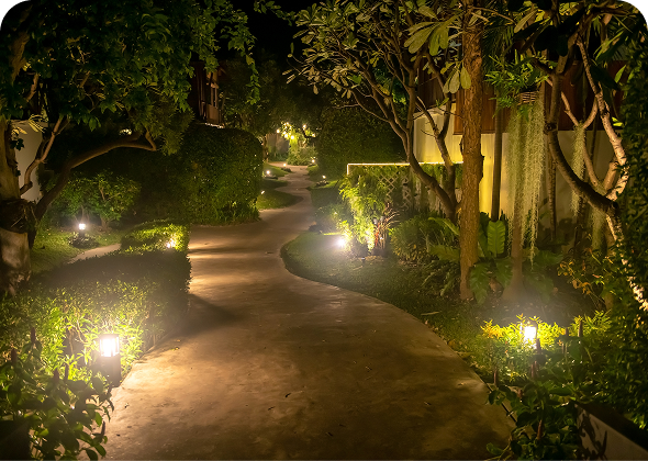Serene nighttime garden walkway