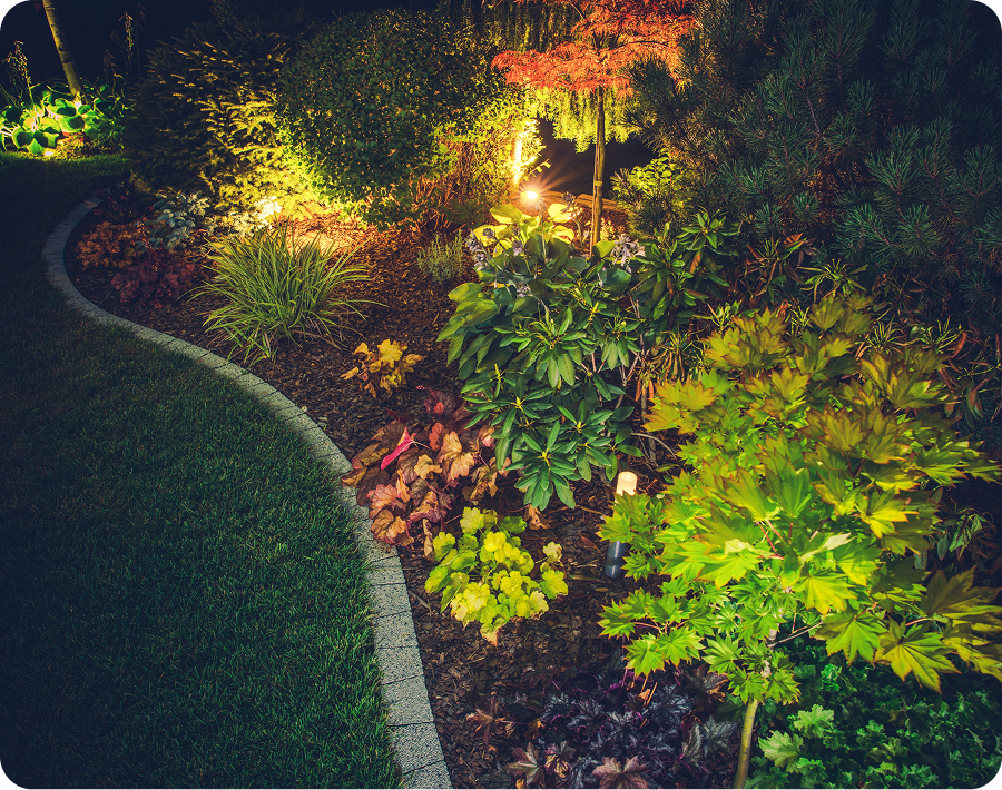 Illuminated garden with vibrant plants at night.