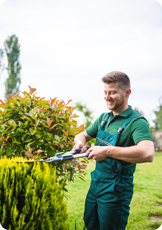Person landscaping with hedge trimmer
